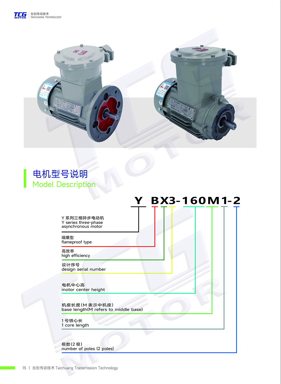 BT4防爆電機B3